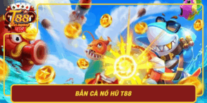 Ban Ca No Hu T88