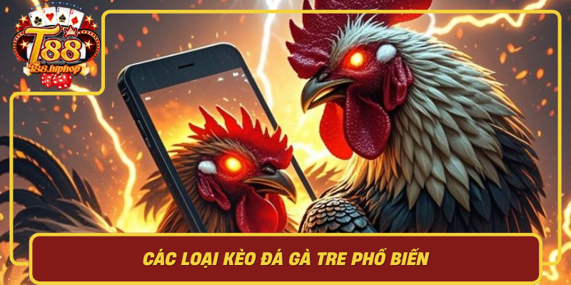 Các Loại Kèo Đá Gà Tre Phổ Biến: Hiểu Đúng Để Tránh Đọc Nhầm