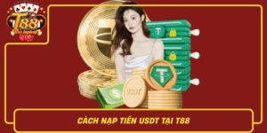 Cach Nap Tien Usdt Tai T88