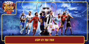 Cup C1 Tai T88