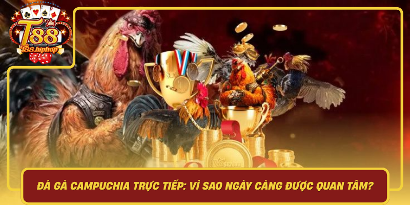 Đá Gà Campuchia Trực Tiếp: Vì Sao Ngày Càng Được Quan Tâm