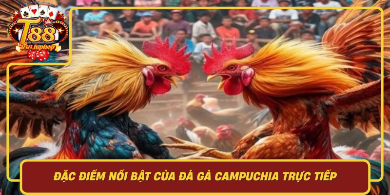 Đặc Điểm Nổi Bật Của Đá Gà Campuchia Trực Tiếp