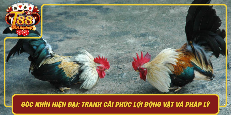 Góc Nhìn Hiện Đại: Tranh Cãi, Phúc Lợi Động Vật Và Pháp Lý