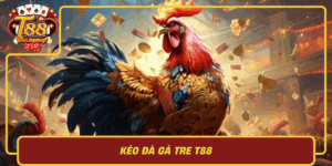Keo Da Ga Tre T88