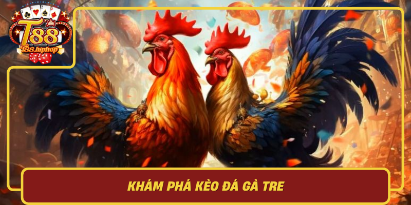 Khám Phá Kèo Đá Gà Tre: Nét Dân Gian Và Sức Hút “Nhanh Gọn” Căng