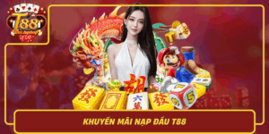 Khuyen Mai Nap Dau T88