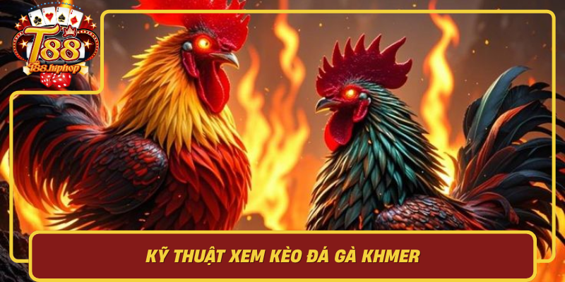Kỹ Thuật Xem Kèo Đá Gà Khmer: Cách Đọc Tỷ Lệ Và Nhận Biết Trận Đáng Vào