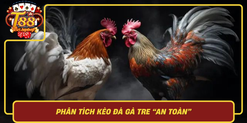 Phân Tích Kèo Đá Gà Tre An Toàn: Thể Trạng, Môi Trường, Kỷ Luật Vốn