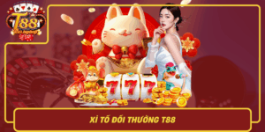 Xi To Doi Thuong T88