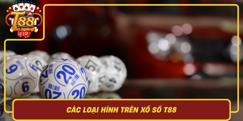 Các Loại Hình Trên Xổ Số T88: Miền Bắc, Miền Trung, Miền Nam Và Khác