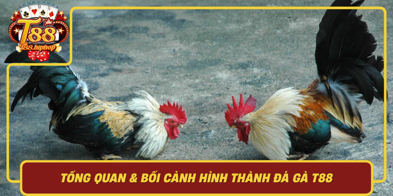 Tổng Quan Bối Cảnh Hình Thành Đá Gà T88